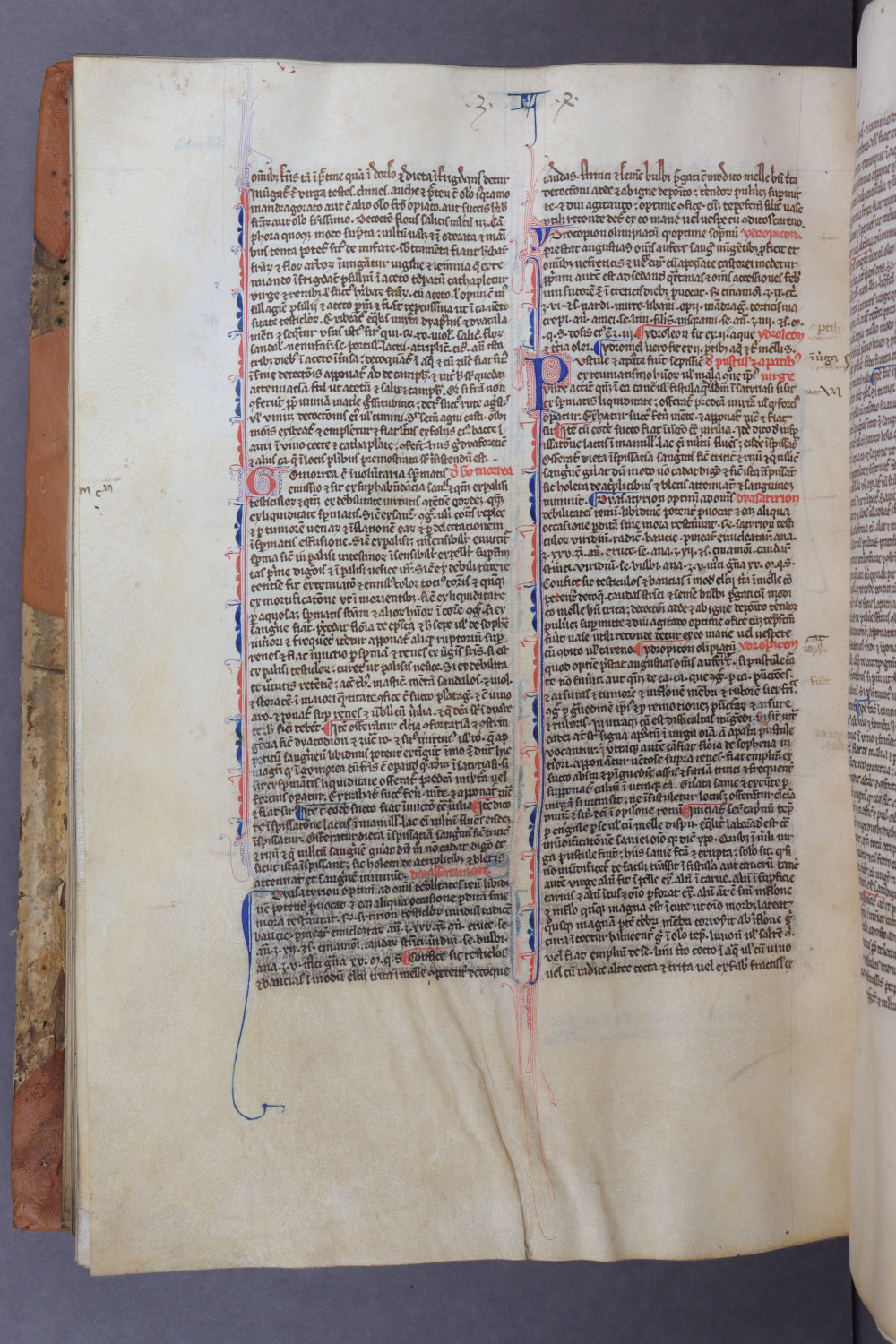 Folio 132 verso